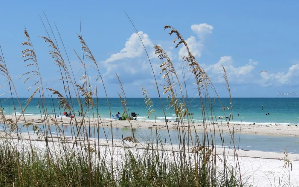 5803 DE PALMAS AVENUE Holmes Beach, FL 34217