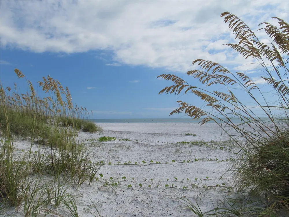 5803 DE PALMAS AVENUE Holmes Beach, FL 34217