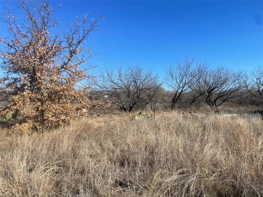 517 County Road 221 Breckenridge, TX 76424