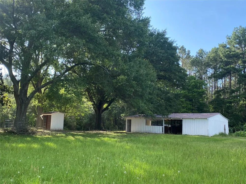 18133 Fm 1774 Plantersville, TX 77363