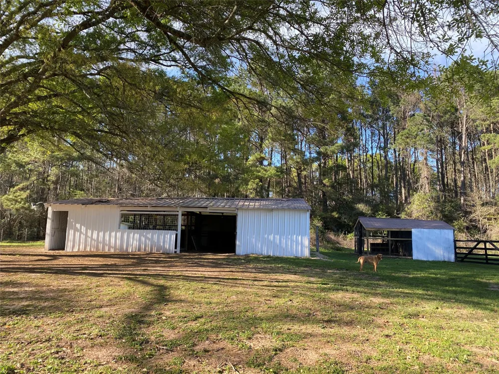 18133 Fm 1774 Plantersville, TX 77363