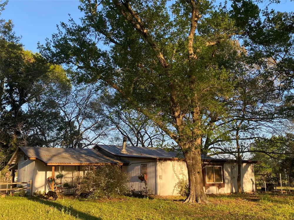 18133 Fm 1774 Plantersville, TX 77363