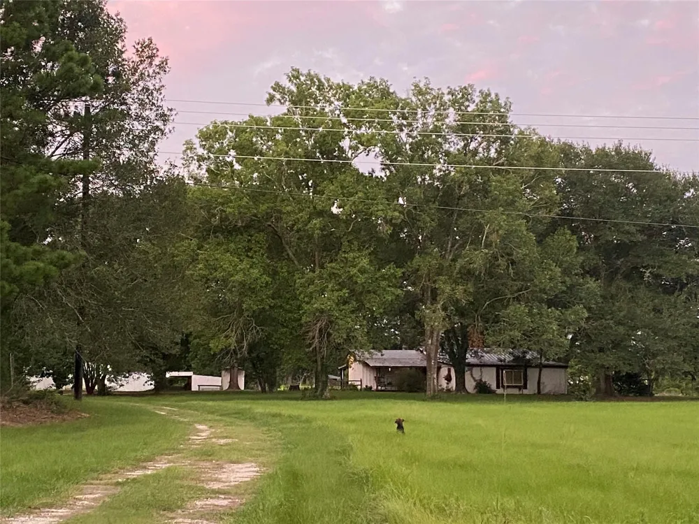18133 Fm 1774 Plantersville, TX 77363