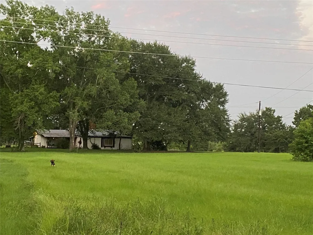 18133 Fm 1774 Plantersville, TX 77363