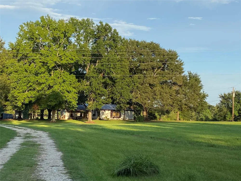 18133 Fm 1774 Plantersville, TX 77363