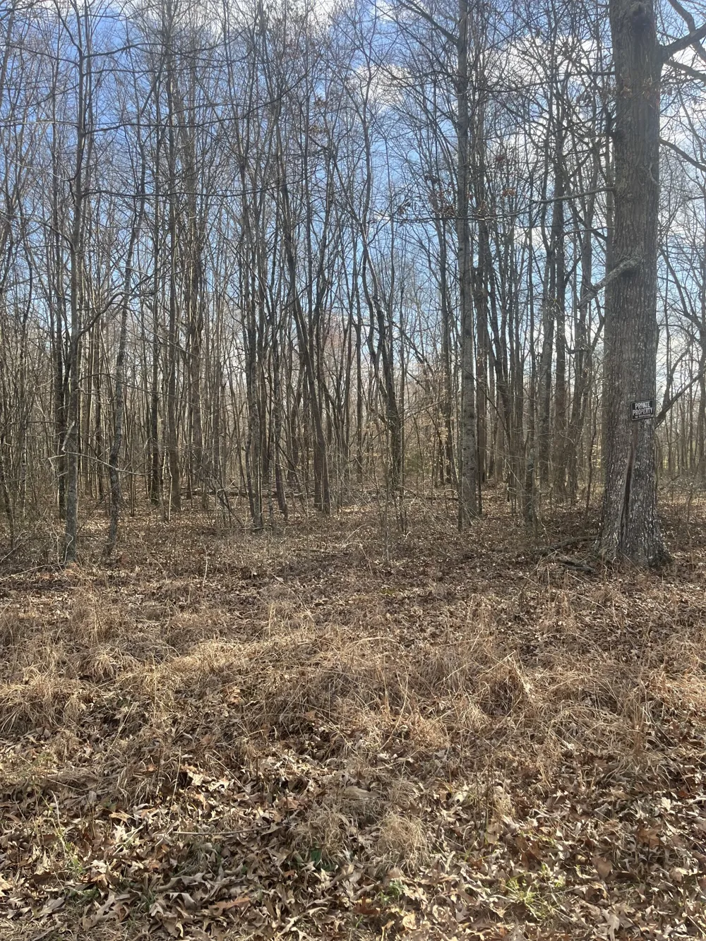 0 Boynton Valley Rd Manchester, TN 37355