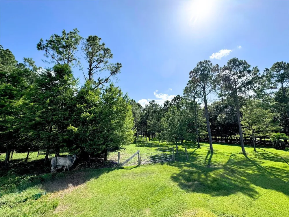 County Road 540 Alvin, TX 77511