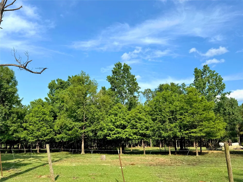 County Road 540 Alvin, TX 77511