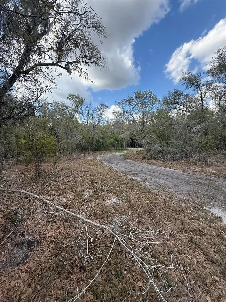 4021 BRUTON ROAD Plant City, FL 33565
