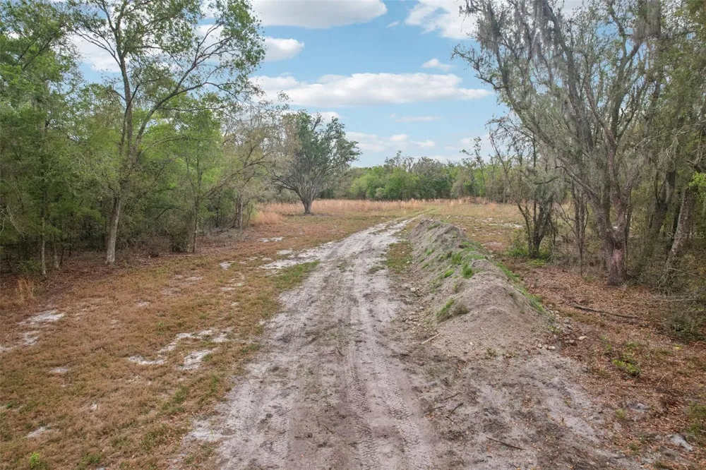 4021 BRUTON ROAD Plant City, FL 33565