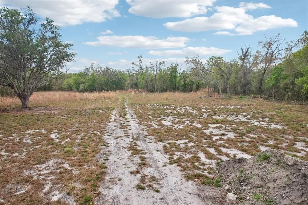 4021 BRUTON ROAD Plant City, FL 33565