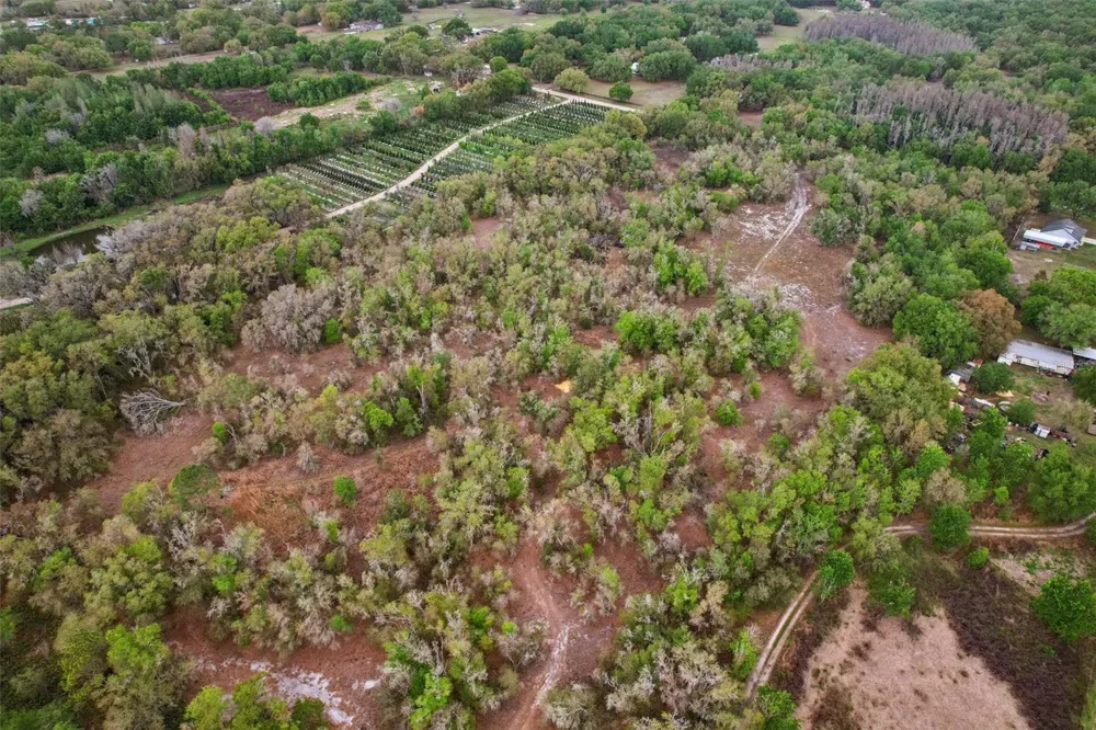 4021 BRUTON ROAD Plant City, FL 33565