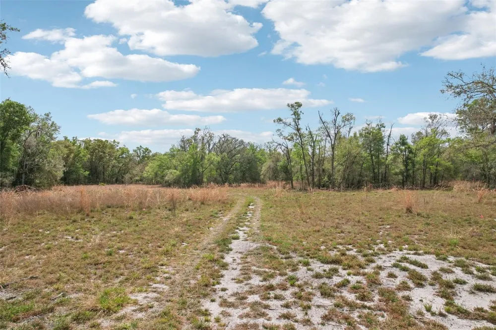 4021 BRUTON ROAD Plant City, FL 33565