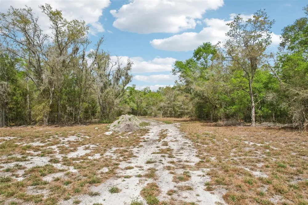 4021 BRUTON ROAD Plant City, FL 33565