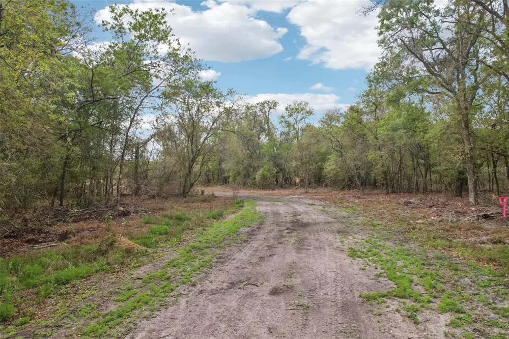 4021 BRUTON ROAD Plant City, FL 33565