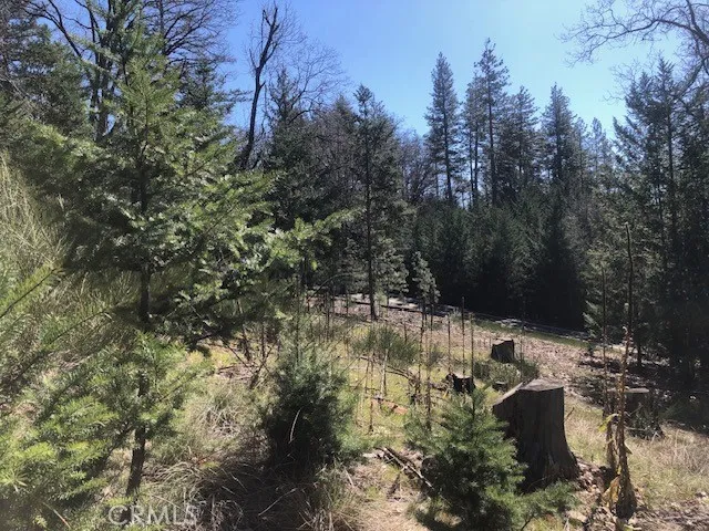 8713 Fox Cobb, CA 95426