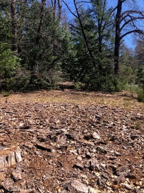 8713 Fox Cobb, CA 95426
