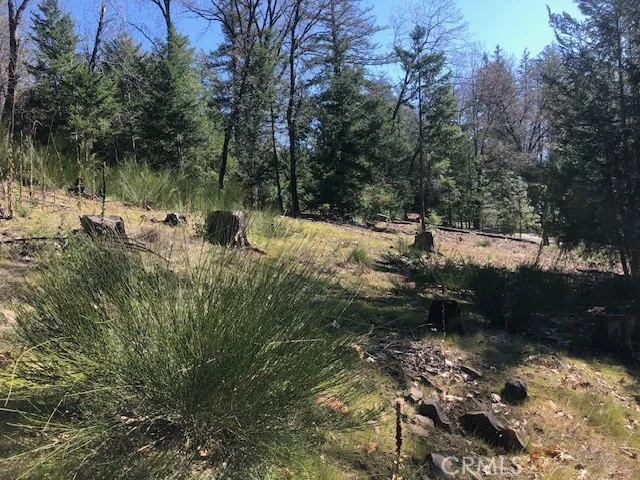 8713 Fox Cobb, CA 95426
