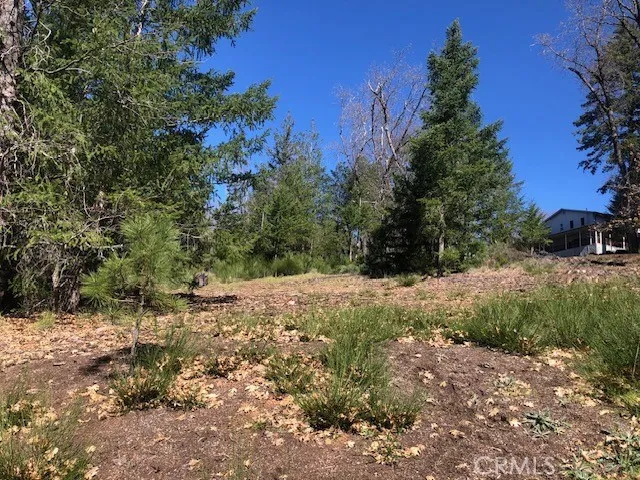8713 Fox Cobb, CA 95426