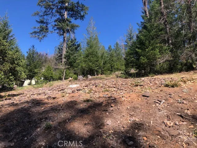 8713 Fox Cobb, CA 95426