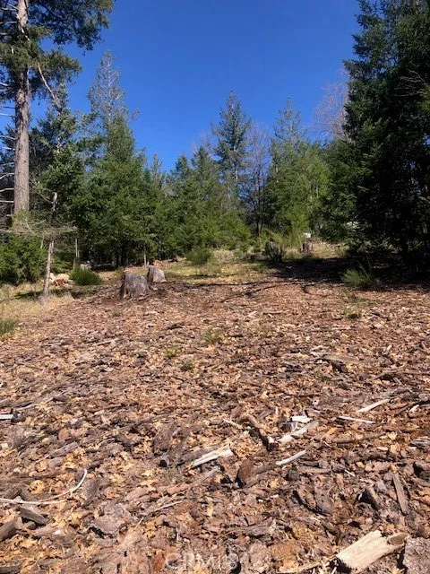 8713 Fox Cobb, CA 95426