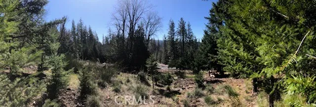 8713 Fox Cobb, CA 95426