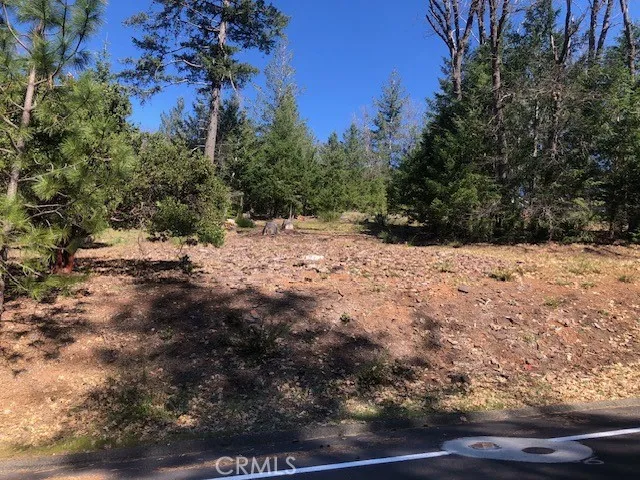 8713 Fox Cobb, CA 95426