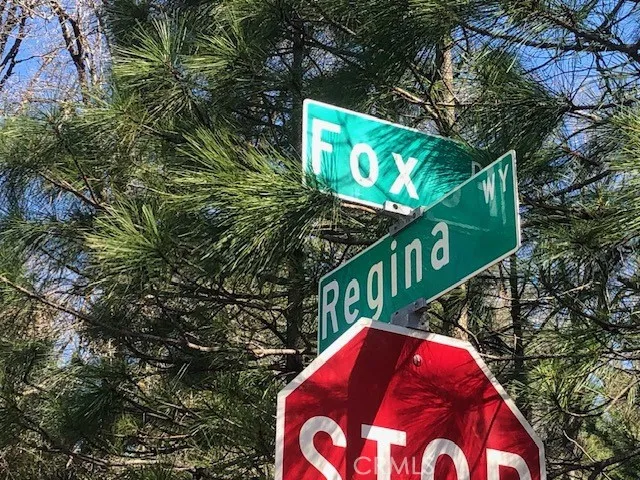 8713 Fox Cobb, CA 95426