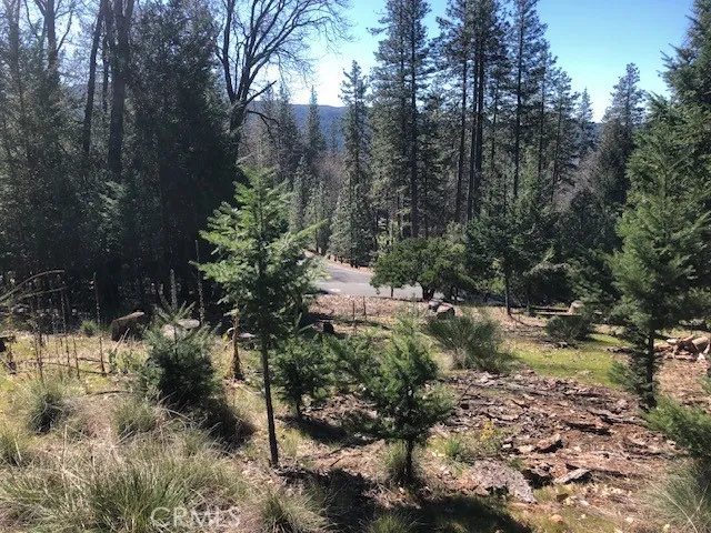 8713 Fox Cobb, CA 95426