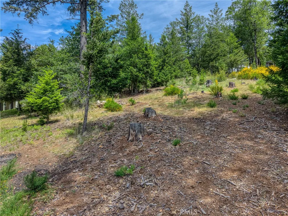 8713 Fox Cobb, CA 95426