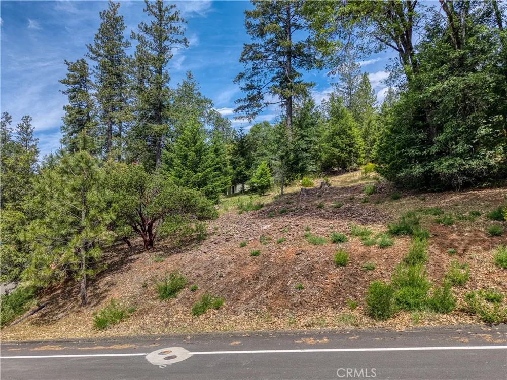 8713 Fox Cobb, CA 95426