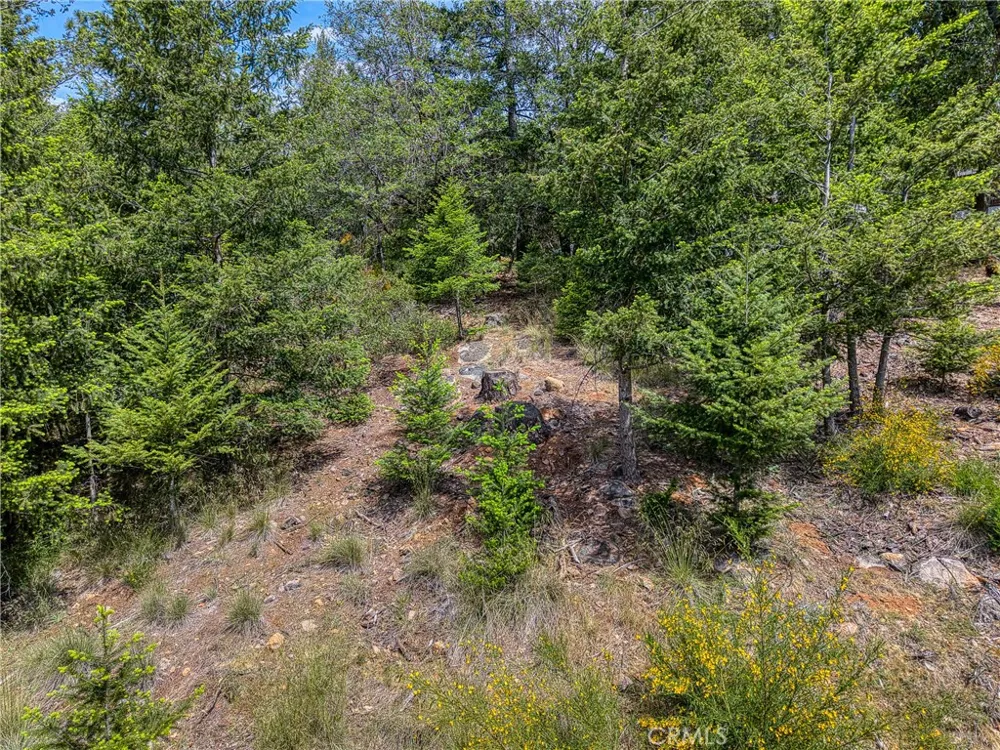 8713 Fox Cobb, CA 95426