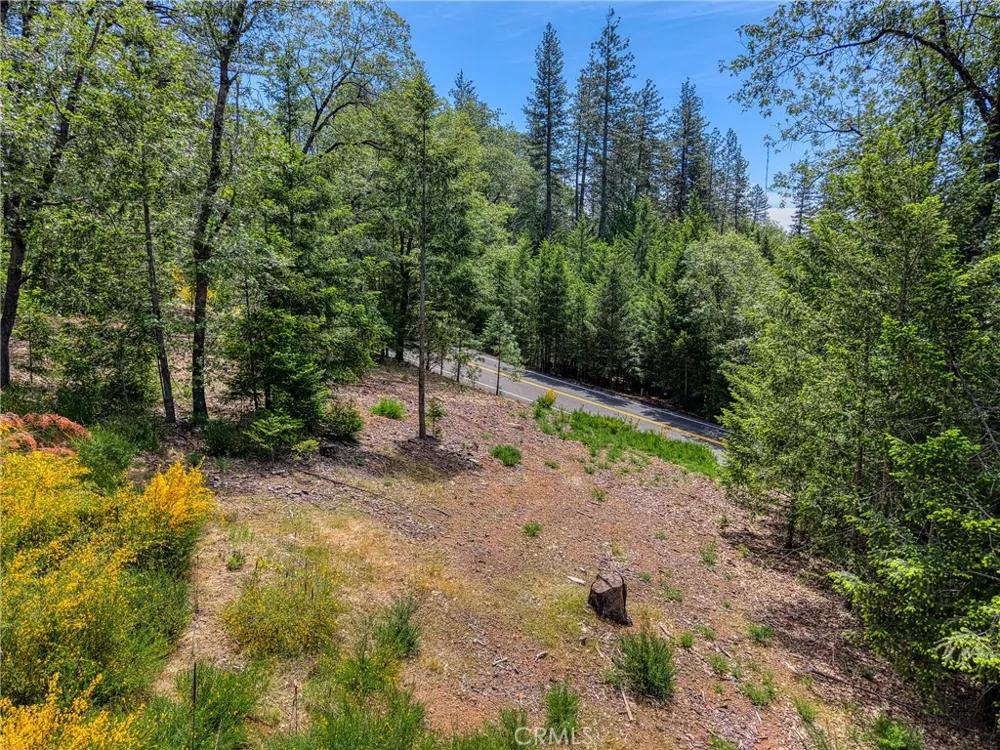8713 Fox Cobb, CA 95426