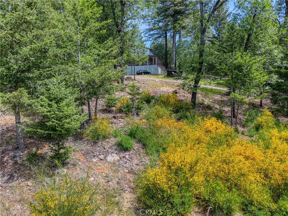 8713 Fox Cobb, CA 95426