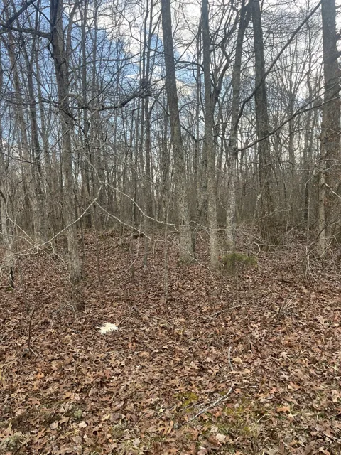0 Boynton Valley Rd