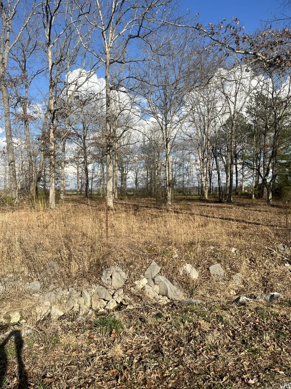 0 Sunrise Circle Manchester, TN 37355