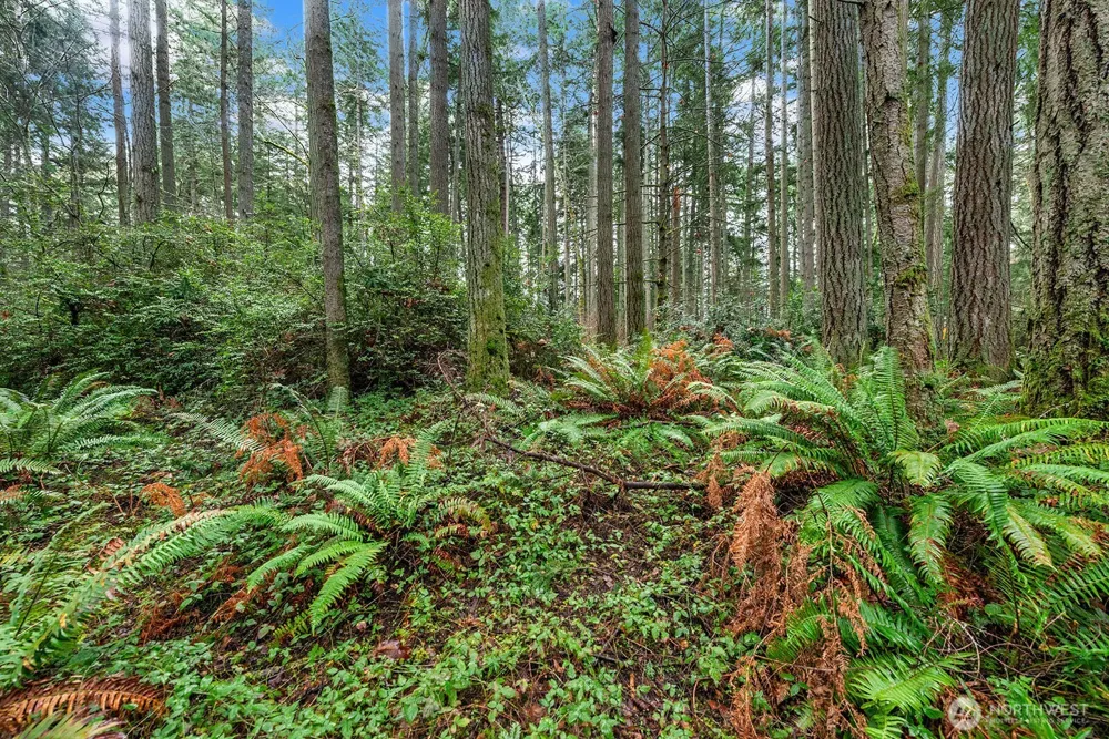 0 SW 220th Street Vashon, WA 98070