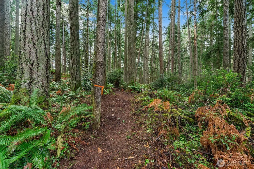 0 SW 220th Street Vashon, WA 98070