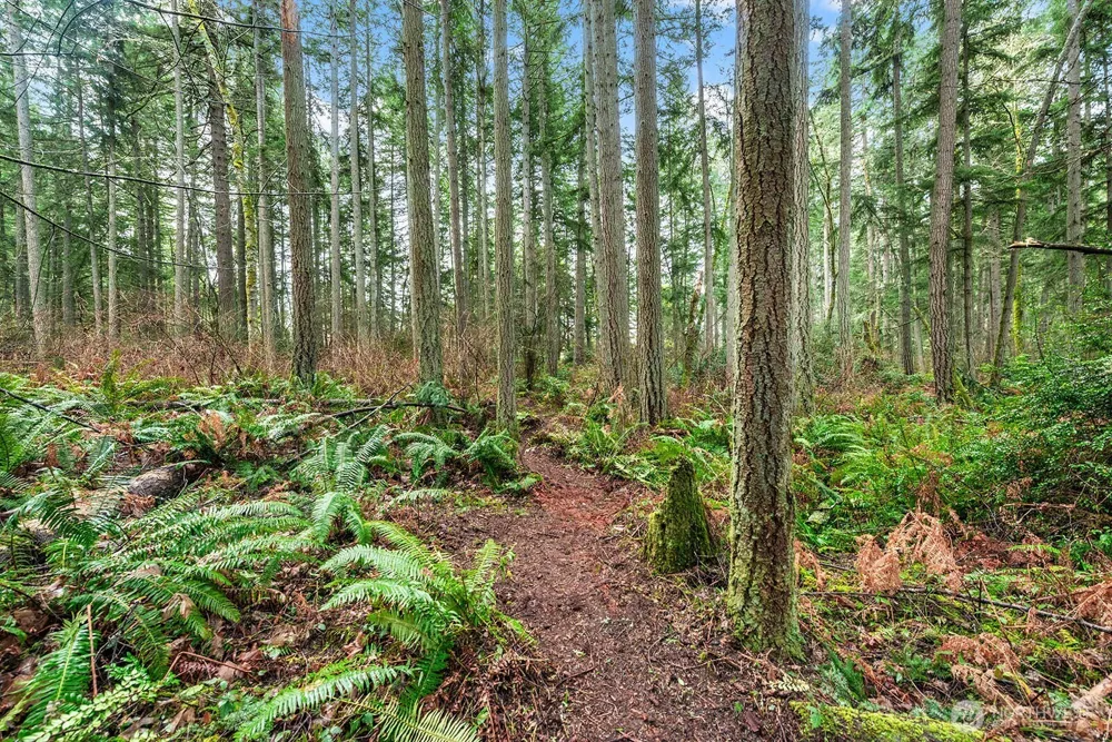 0 SW 220th Street Vashon, WA 98070
