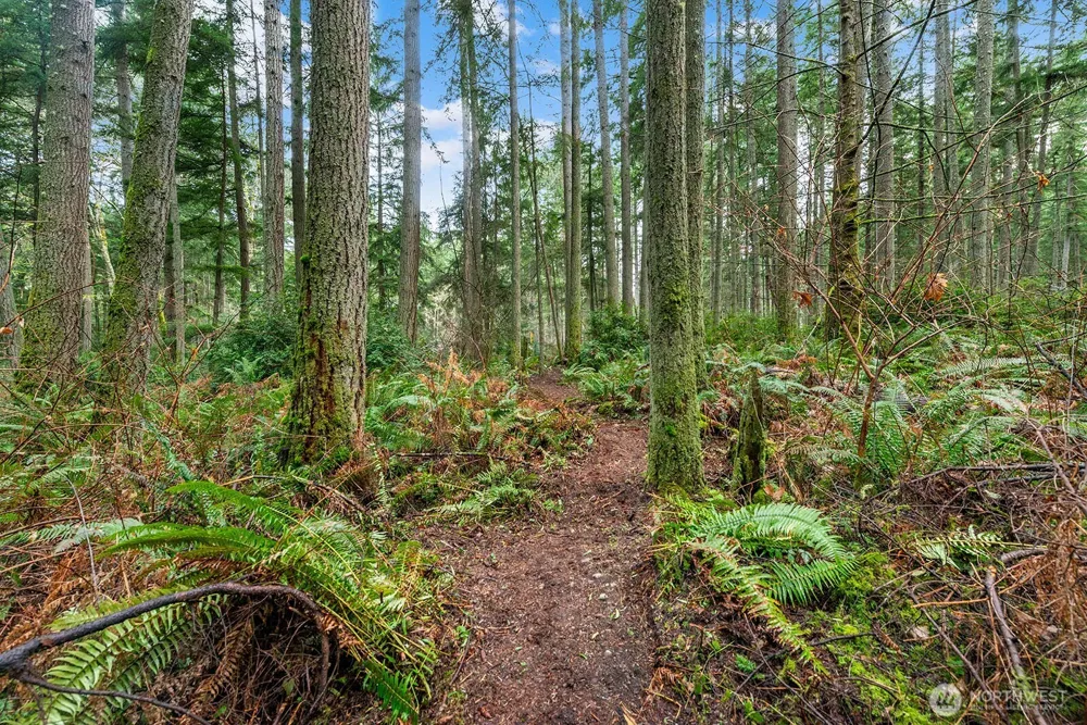 0 SW 220th Street Vashon, WA 98070