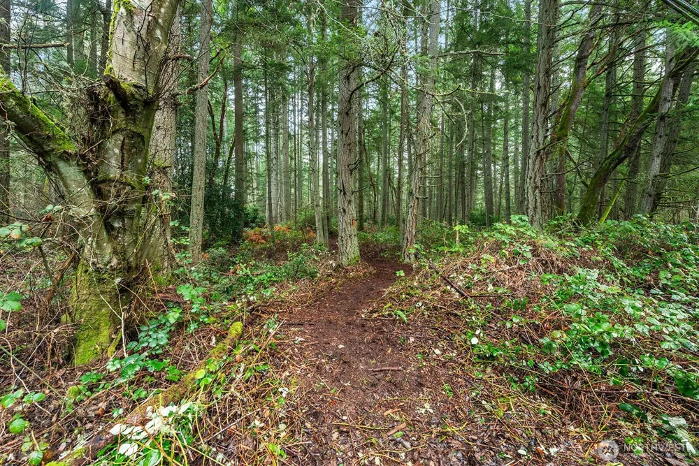 0 SW 220th Street Vashon, WA 98070