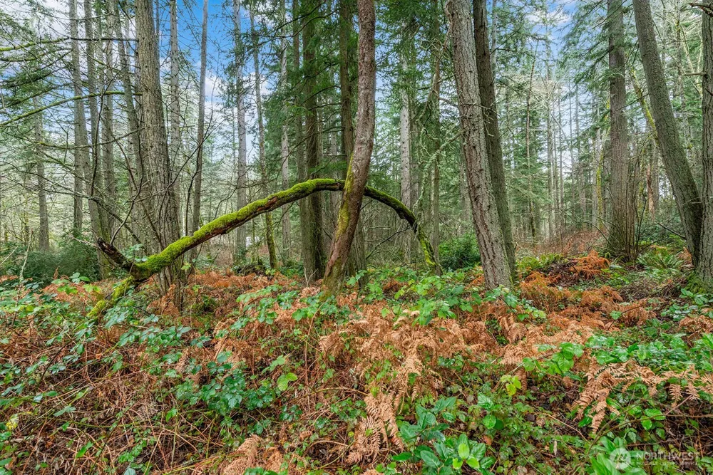 0 SW 220th Street Vashon, WA 98070