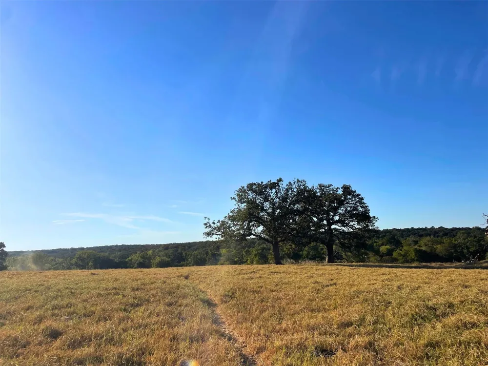 6014 Cr 333 Caldwell, TX 77836