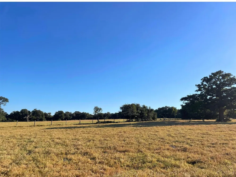 6014 Cr 333 Caldwell, TX 77836