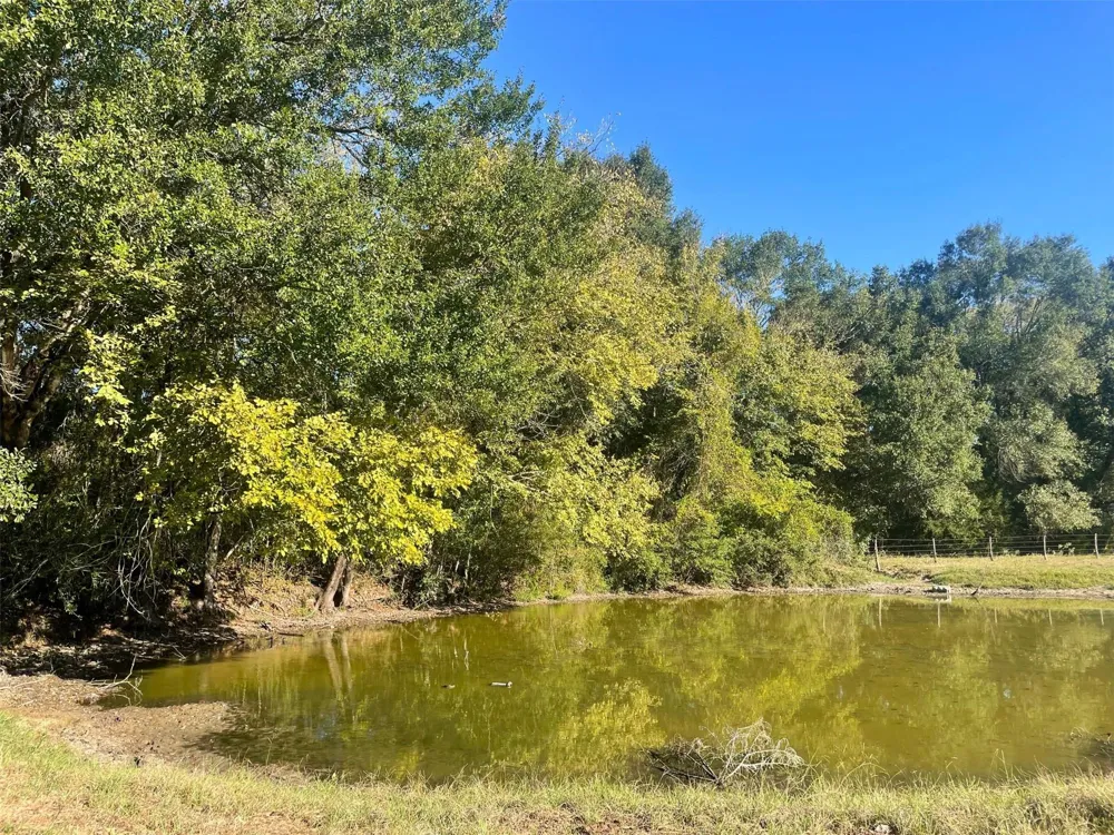 6014 Cr 333 Caldwell, TX 77836