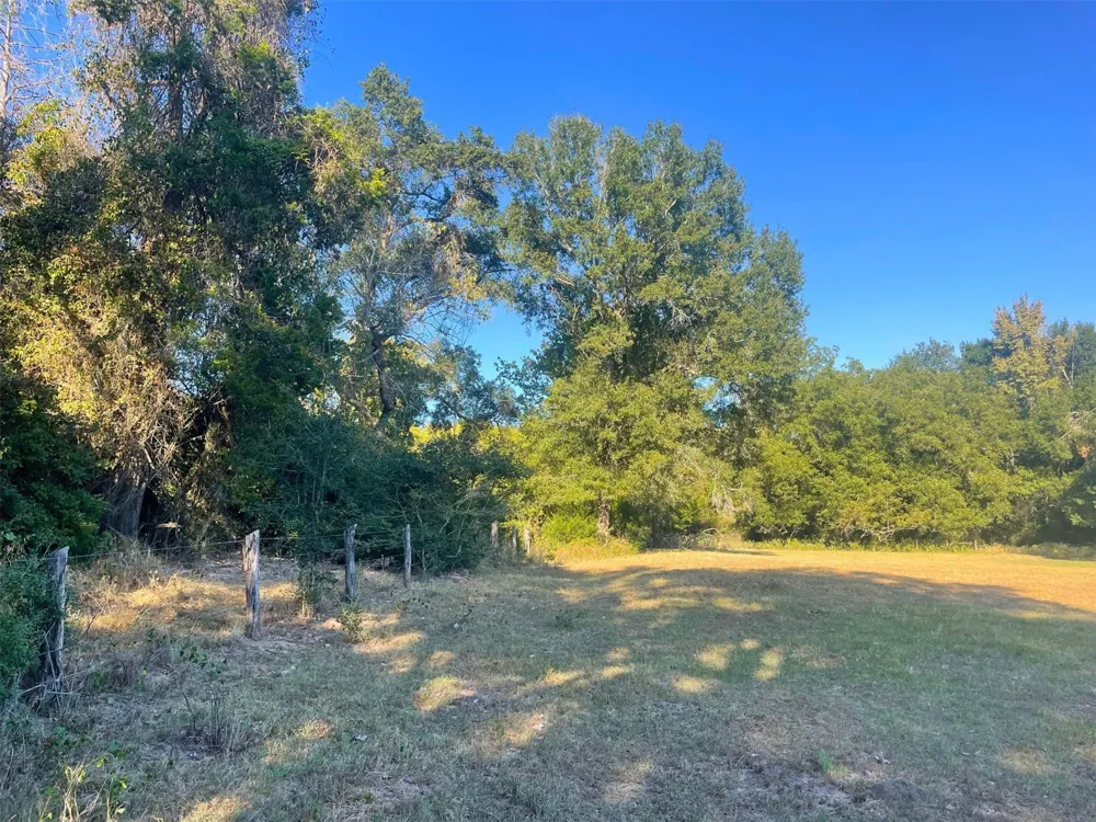 6014 Cr 333 Caldwell, TX 77836