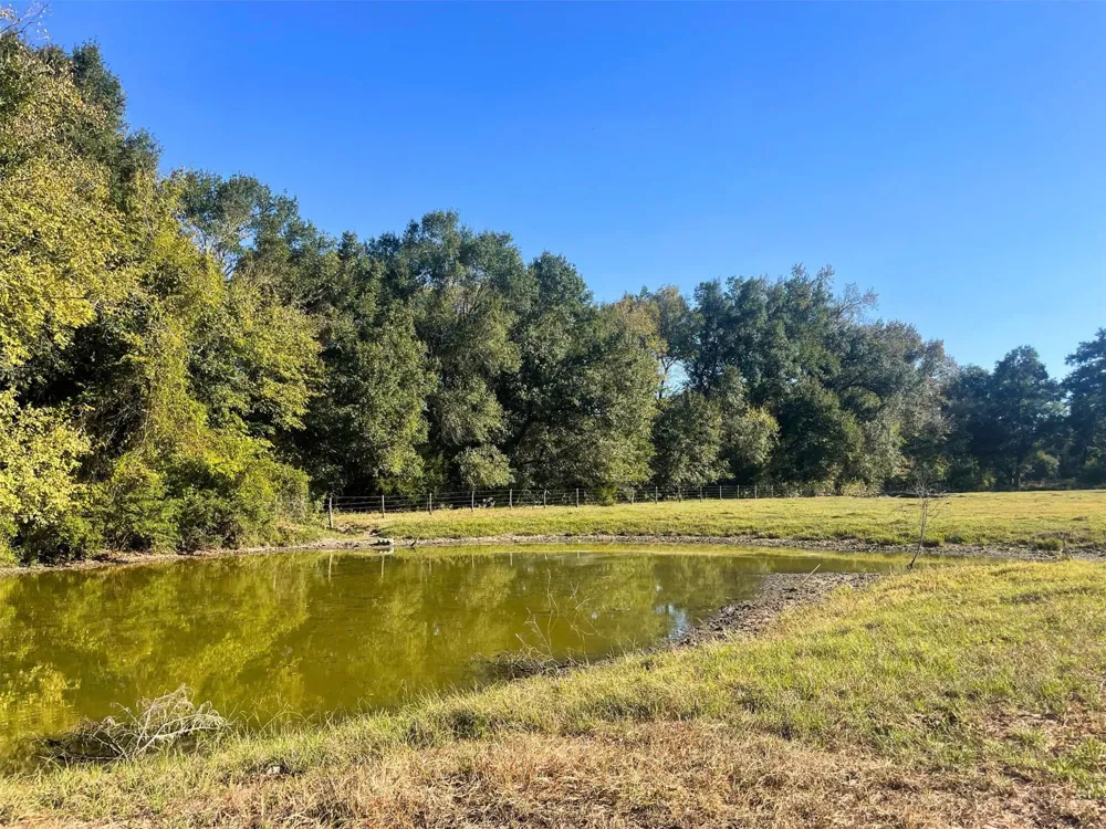 6014 Cr 333 Caldwell, TX 77836