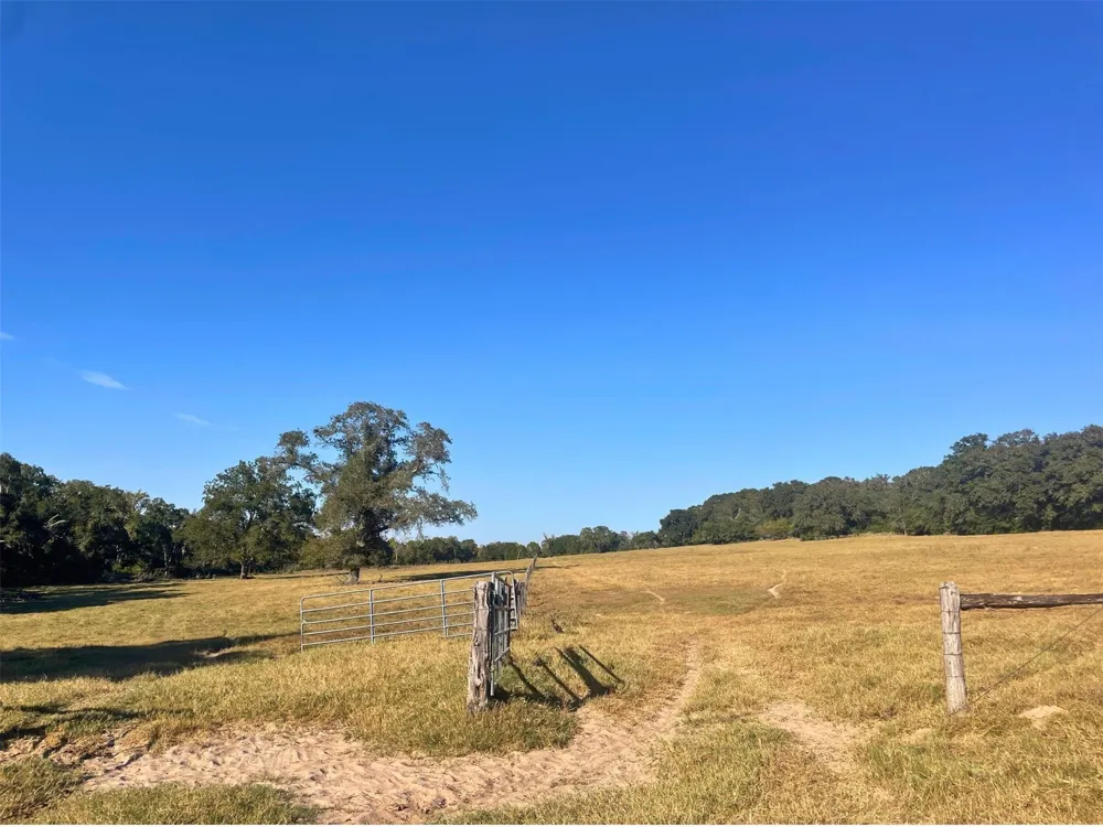 6014 Cr 333 Caldwell, TX 77836