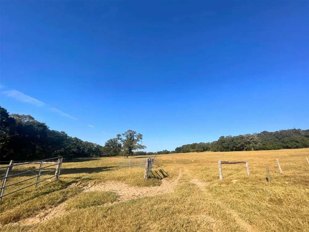6014 Cr 333 Caldwell, TX 77836