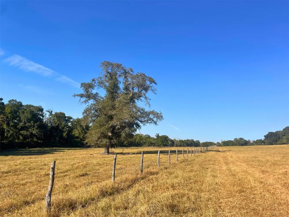 6014 Cr 333 Caldwell, TX 77836